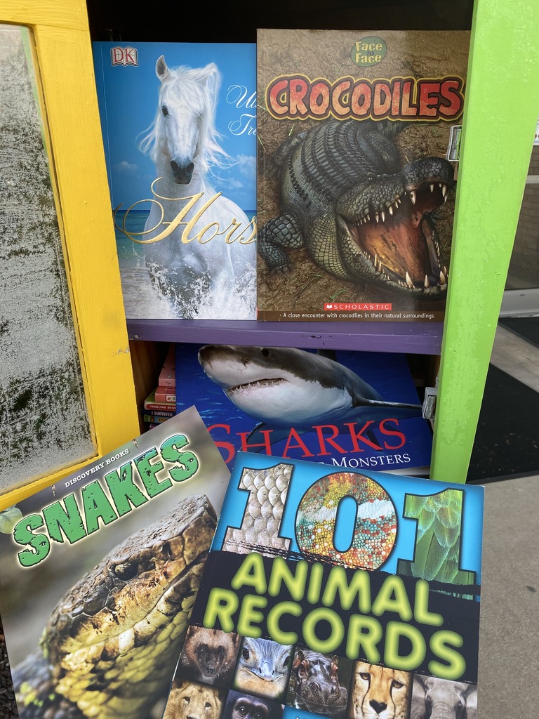 Horses, sharks, and crocs, oh my!