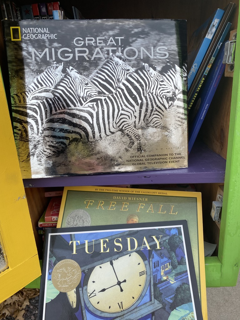 Books filled with lovely pictures . . .