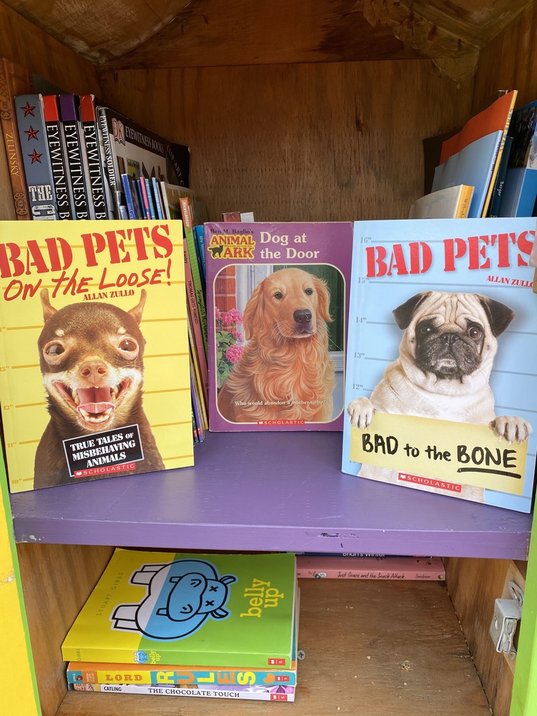 Pet chapter books