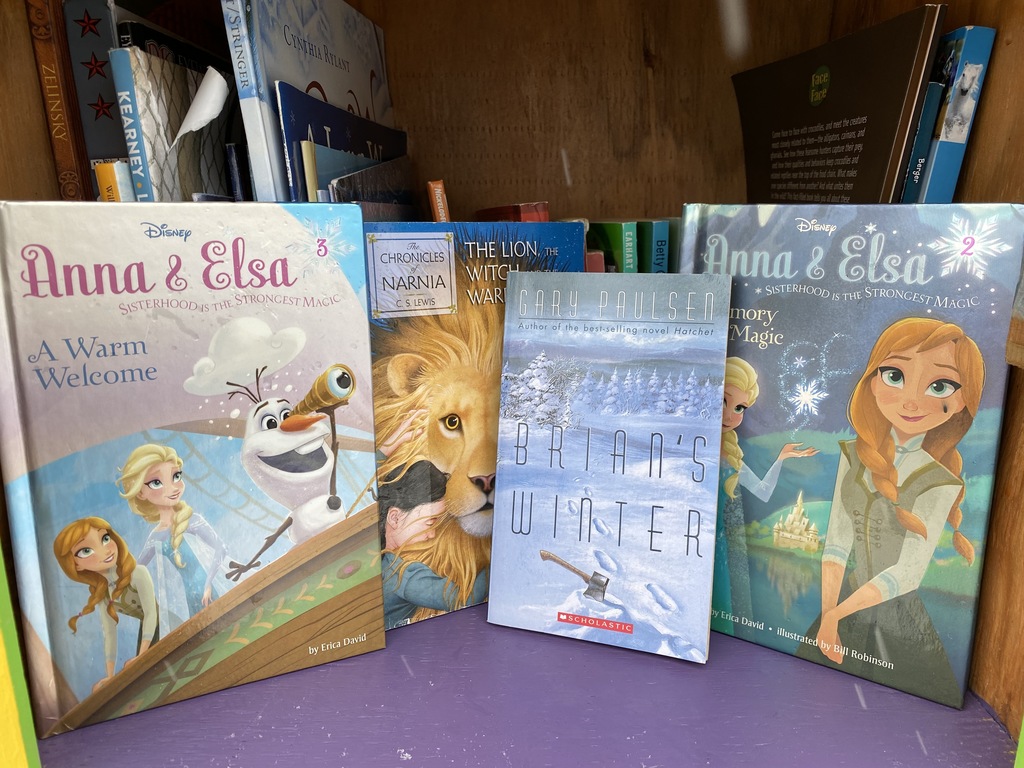 Snow-themed chapter books