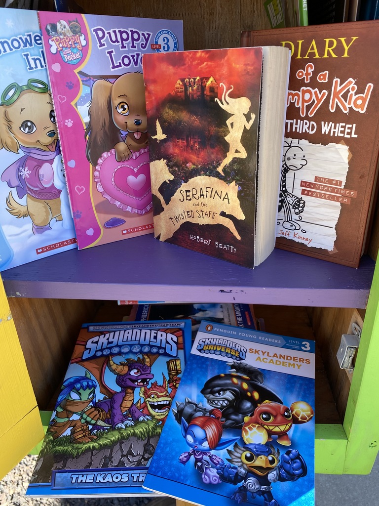 Leveled readers, chapter books
