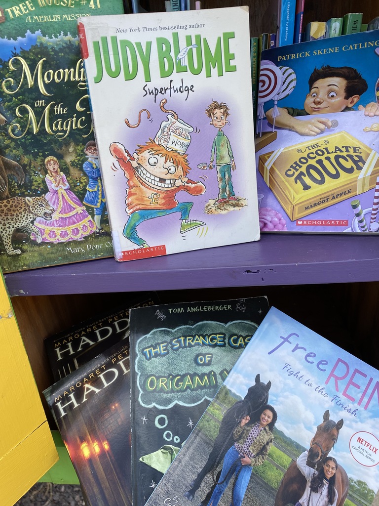 Summer chapter books