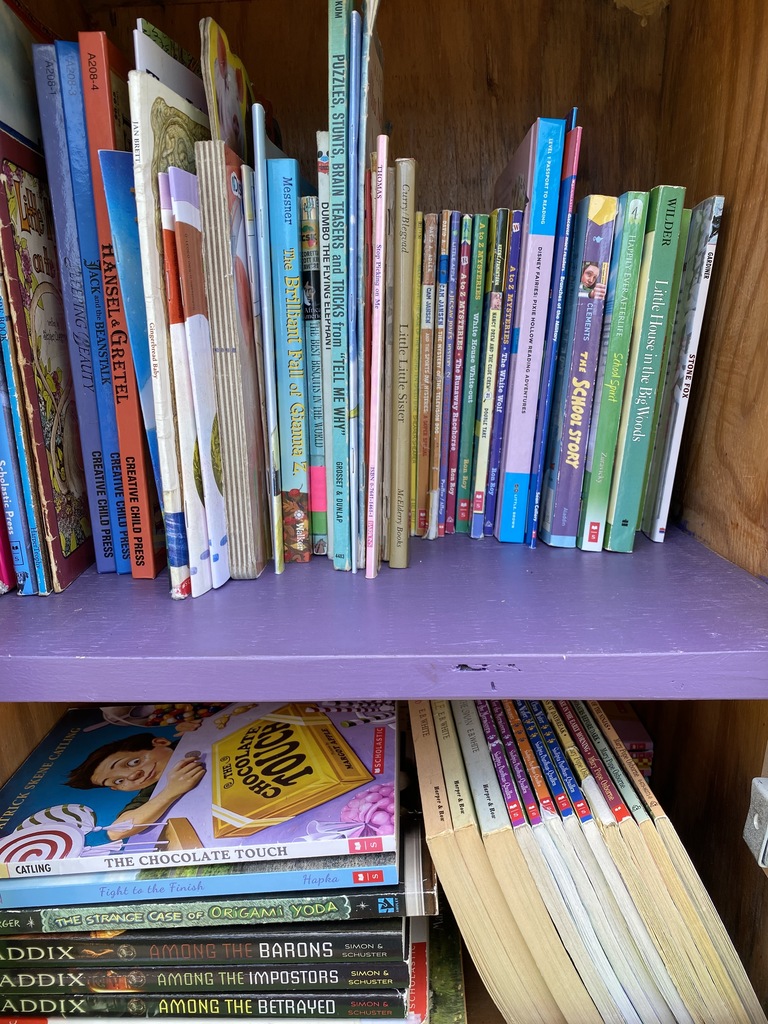 Chapter books