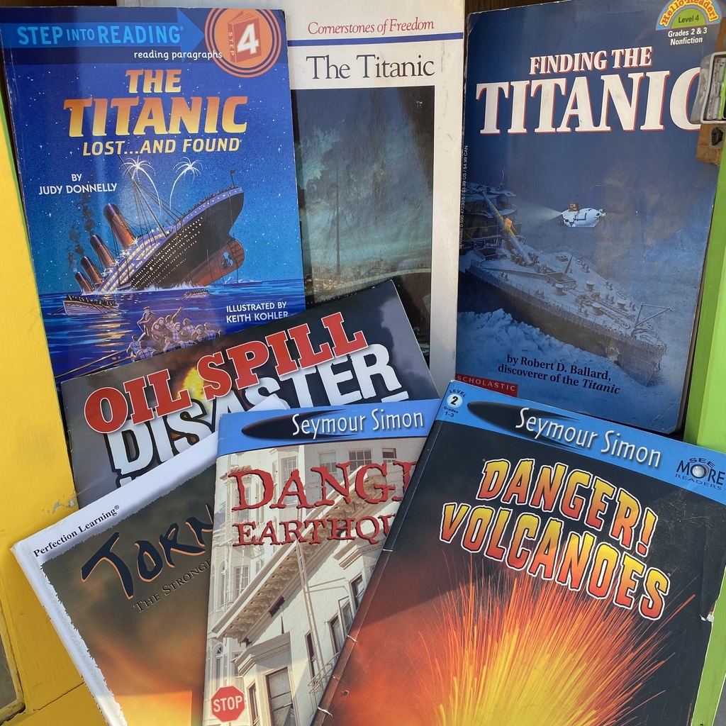 Titanic and disaster books